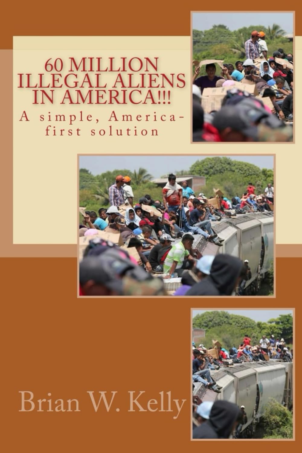 60 Million Illegal Aliens in America!!!: A simple, America-first solution. Law