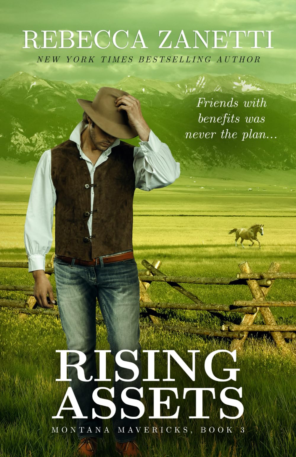 Rising Assets (Montana Mavericks, Band 3) Action & Adventure