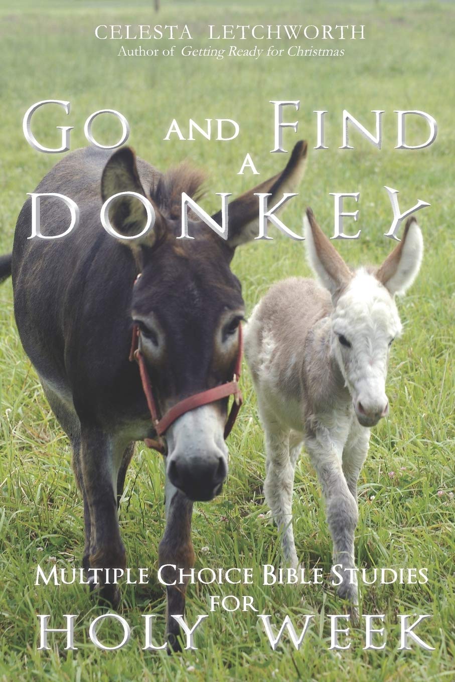 Go and Find a Donkey: Multiple Choice Bible Studies for Holy Week (Choose This Day Multiple Choice Bible Studies) Social Sciences