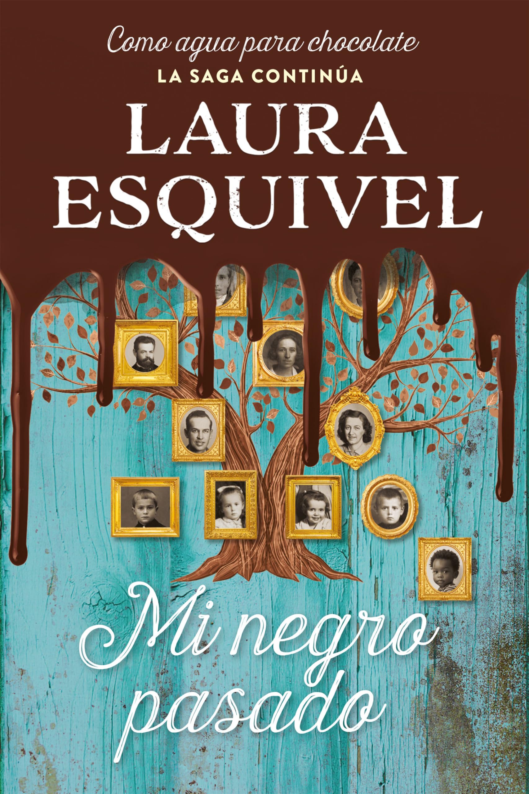 Mi Negro Pasado (Como Agua Para Chocolate 2) / My Dark Past book
