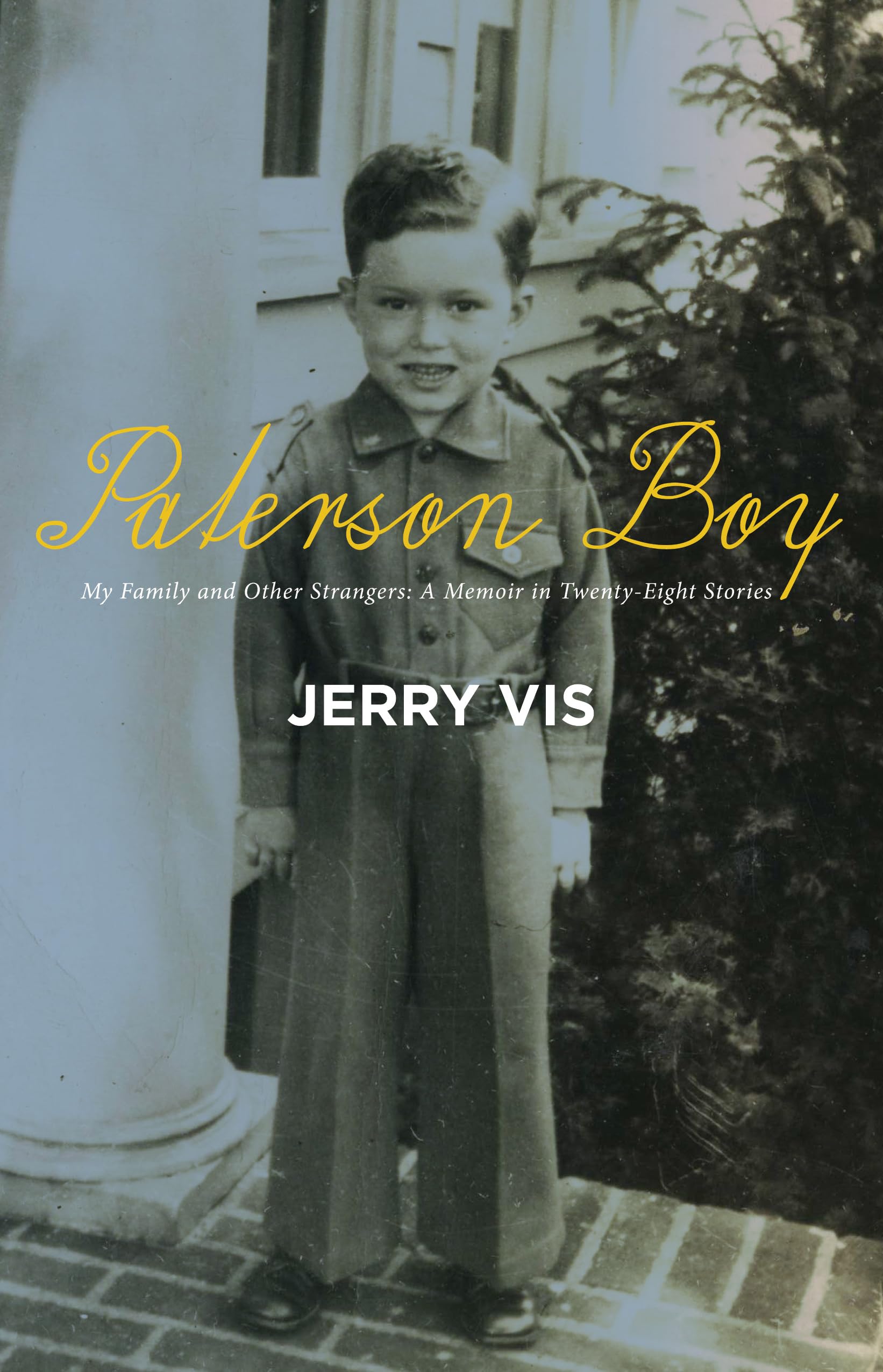 Paterson Boy: My Family and Other Strangers: A Memoir in Twenty-Eight Stories Art & Literature
