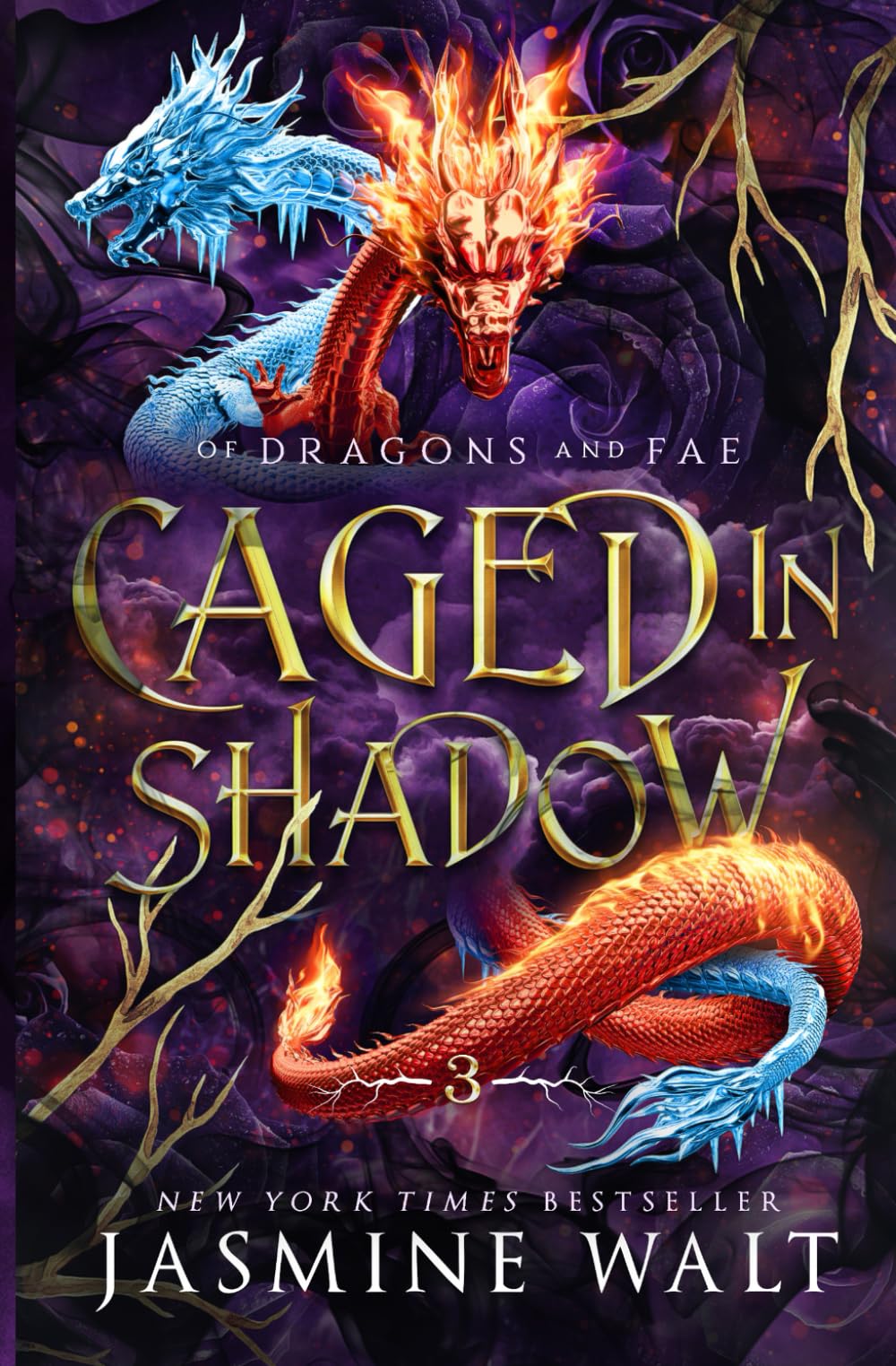 Caged in Shadow (Of Dragons and Fae, Band 3) Romance