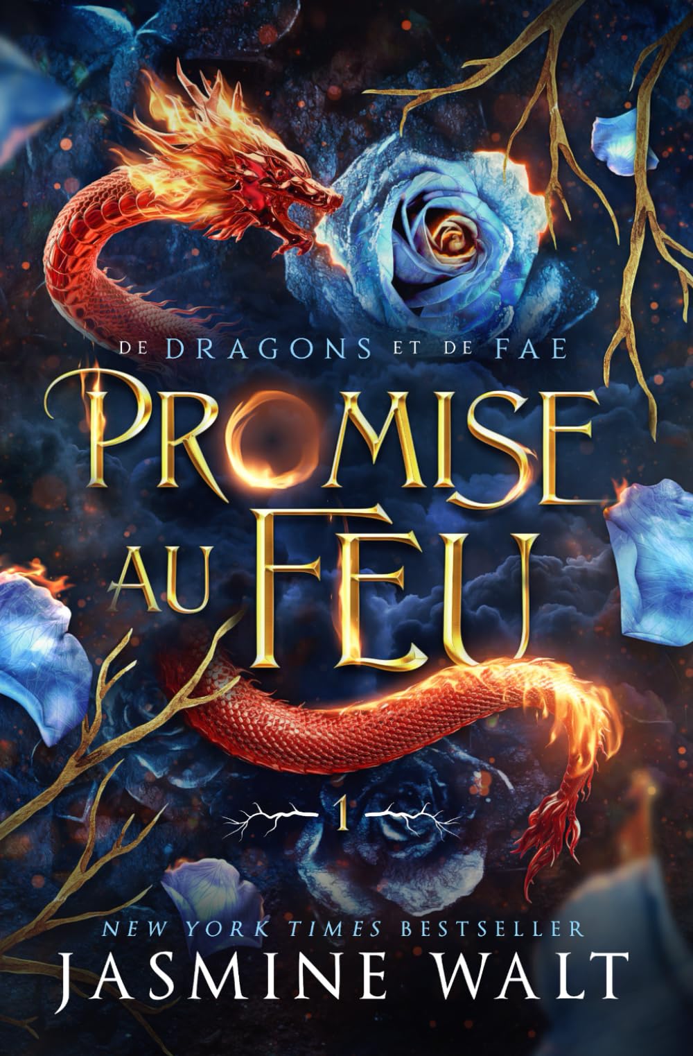 Promise au Feu (De Dragons et Fae, Band 1) Reference Books