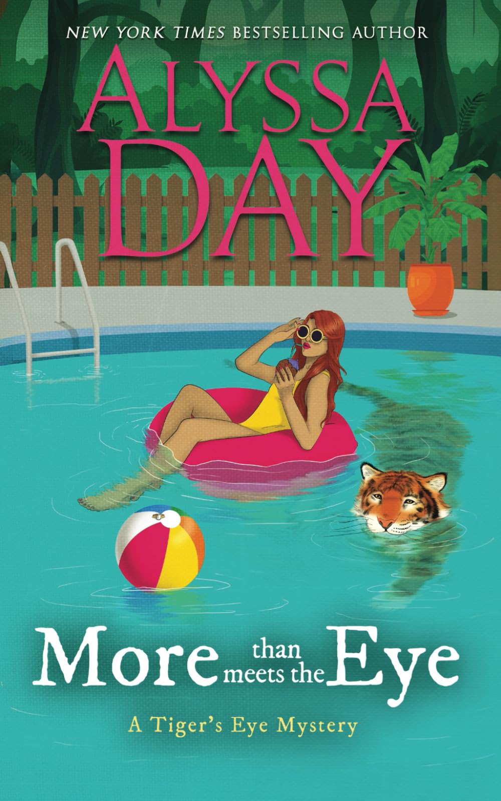 MORE THAN MEETS THE EYE: Tiger's Eye Mysteries Cosy Mystery & Humour