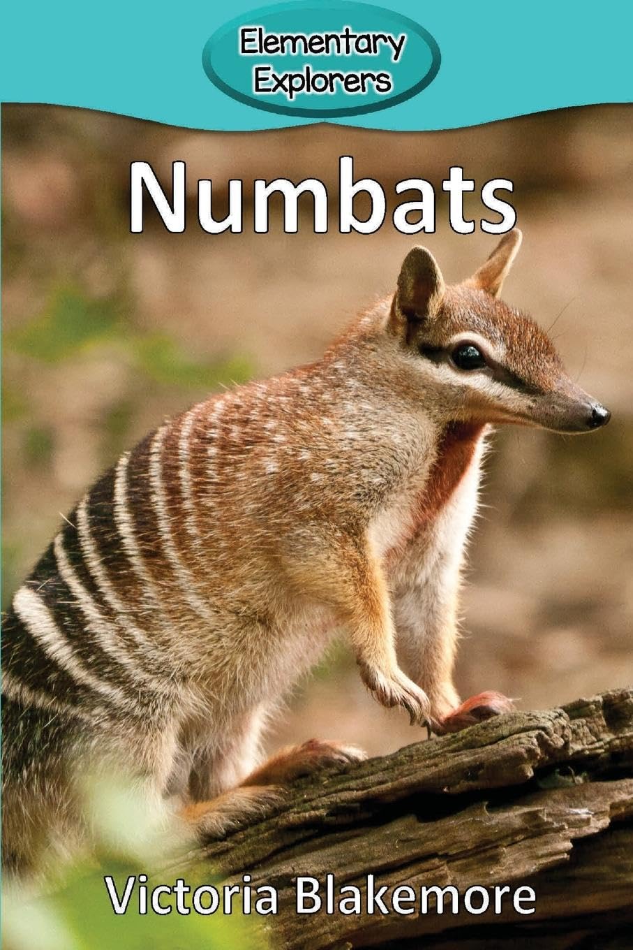 Product Image: Numbats