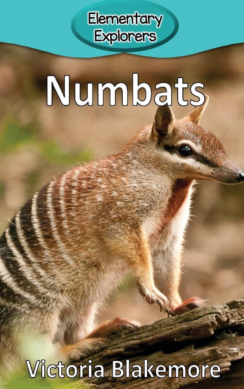 Product Image: Numbats
