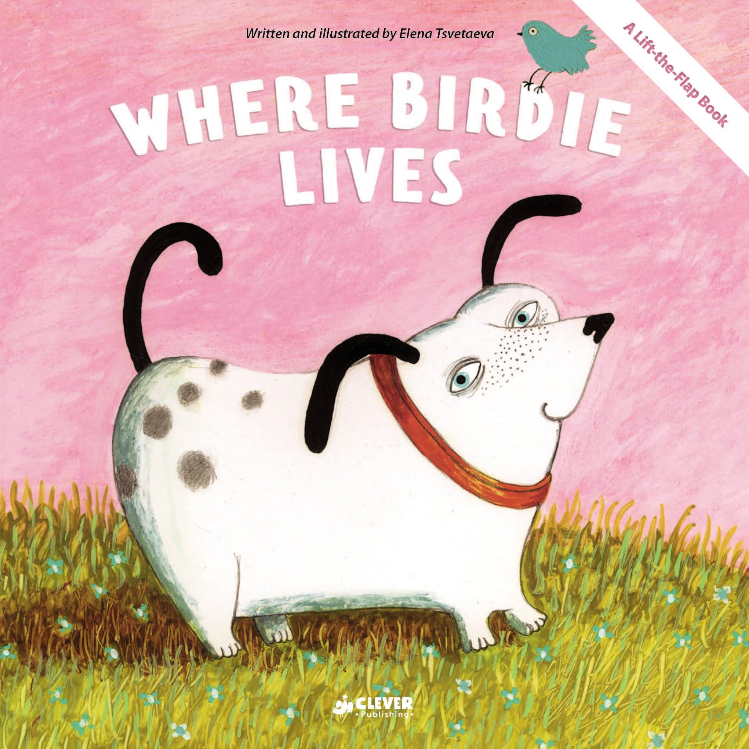 Where Birdie Lives: A Lift-The-Flap Book (Clever Flaps) Tiptoi & Games