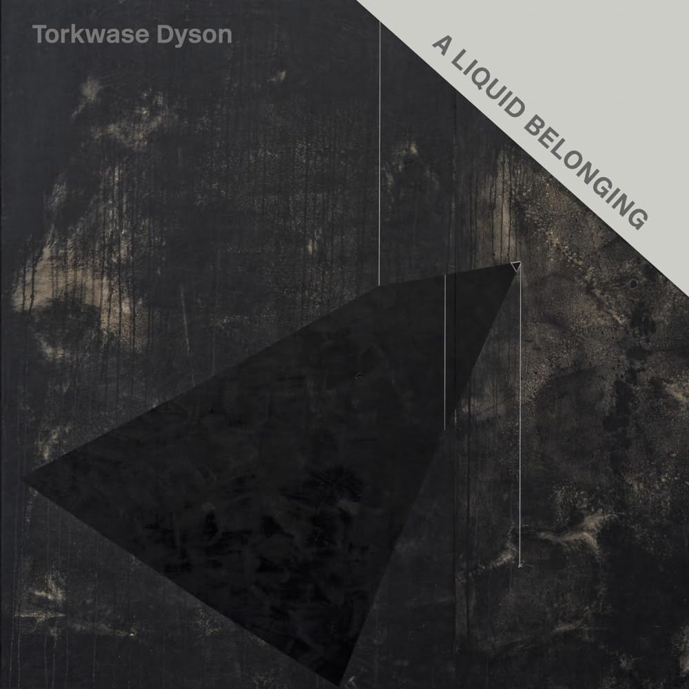Torkwase Dyson: A Liquid Belonging Books