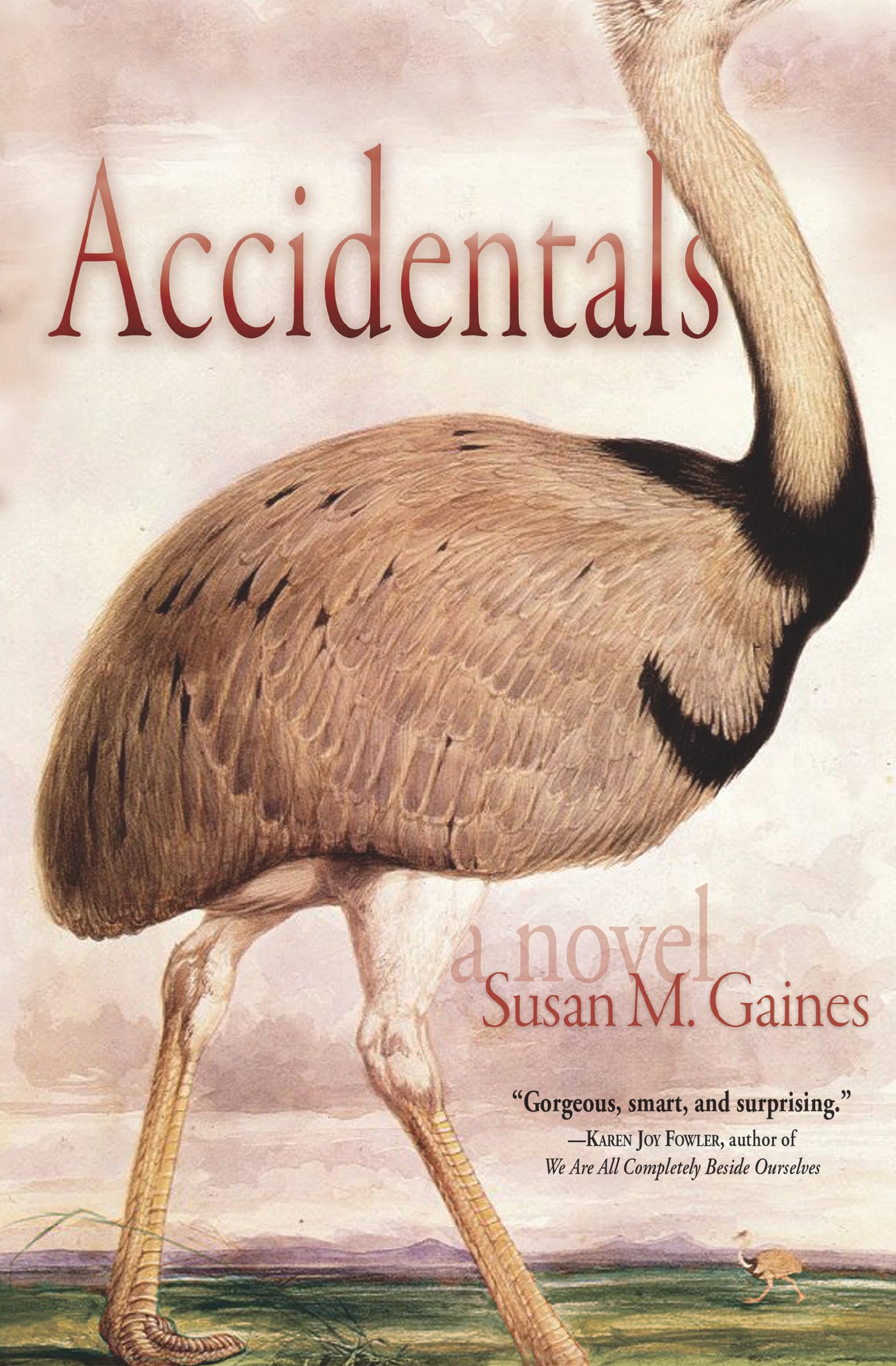 Accidentals Contemporary literature Books
