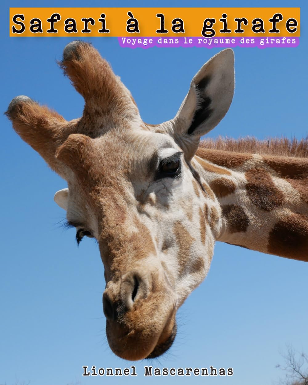 Safari à la girafe: Voyage dans le royaume des girafes book