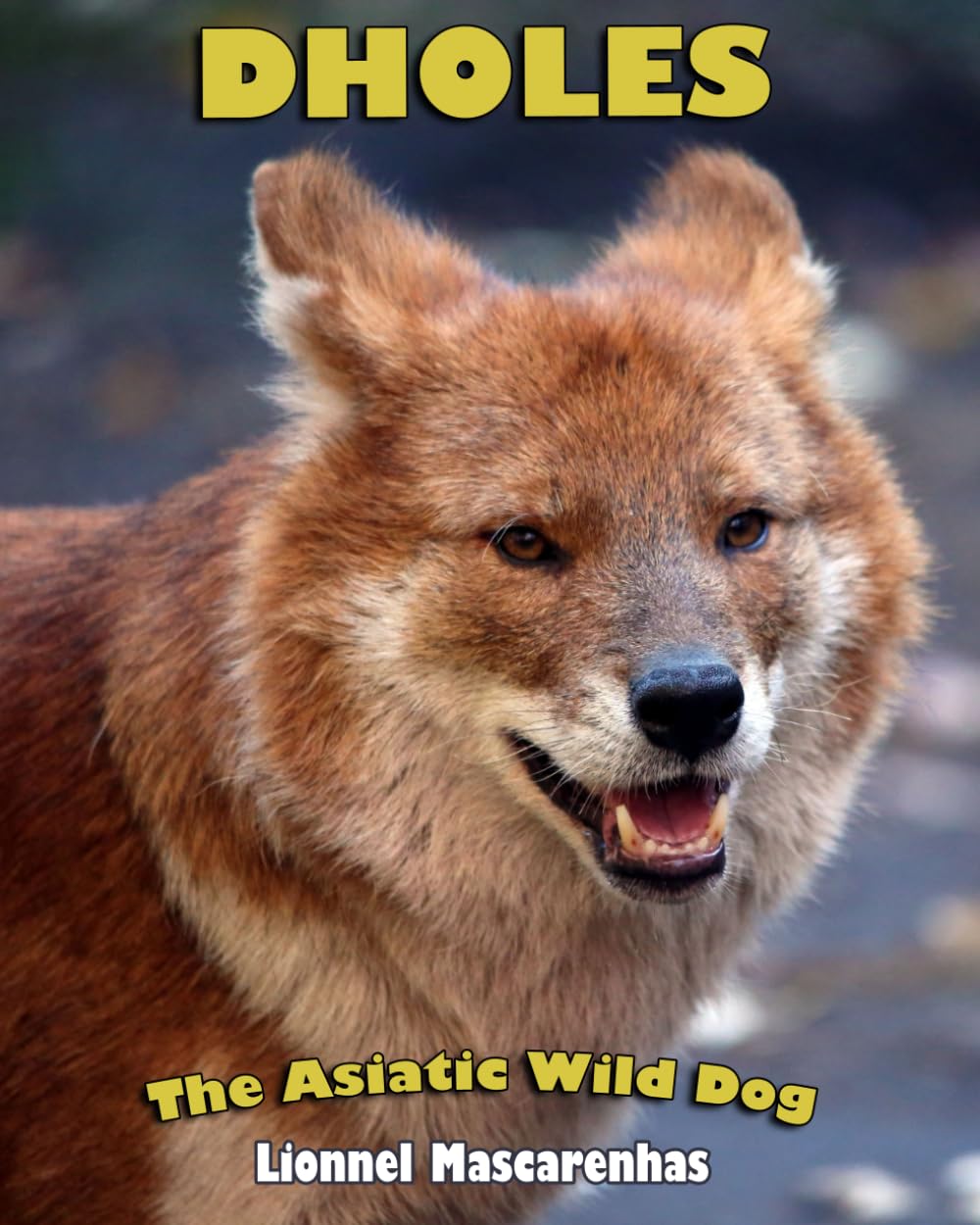 Dholes: The Asiatic Wild Dog Non-fiction