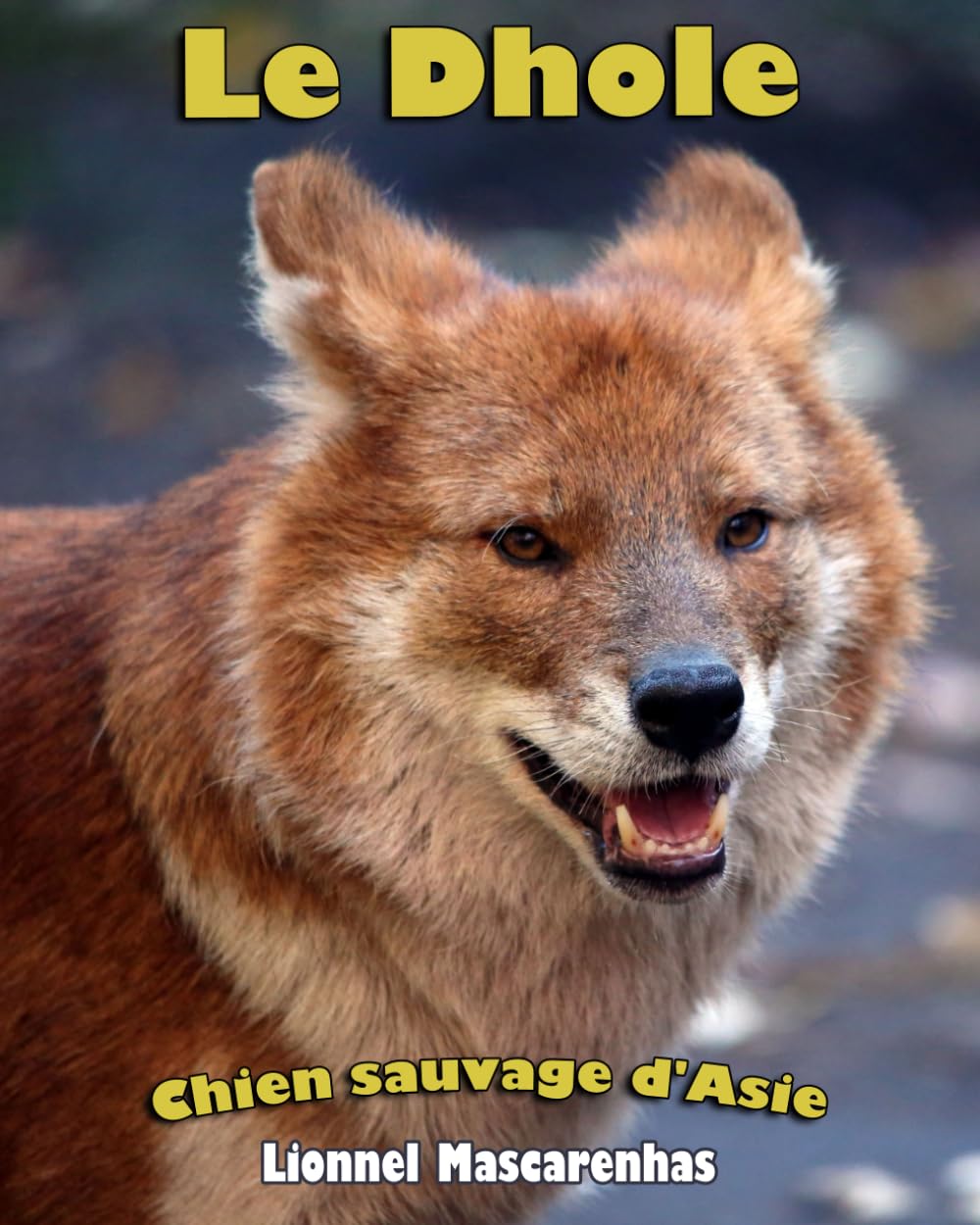 Le Dhole: Chien sauvage d'Asie Non-fiction