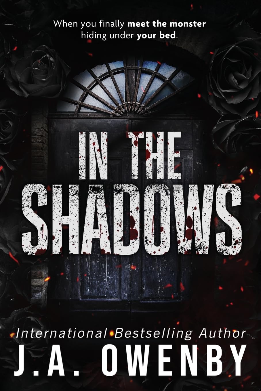 In the Shadows Contemporary literature Books