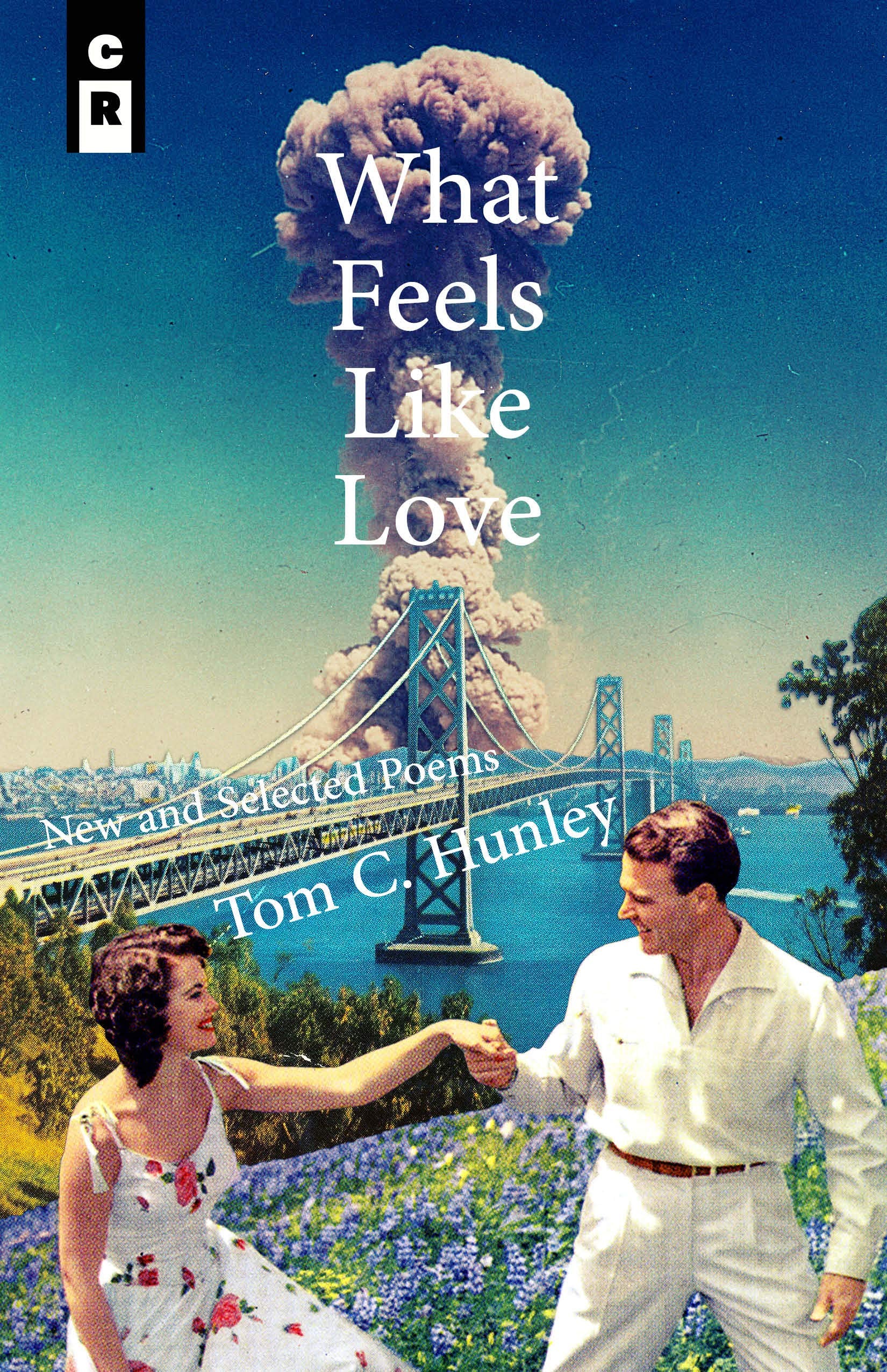 What Feels Like Love: New and Selected Poems Poetry