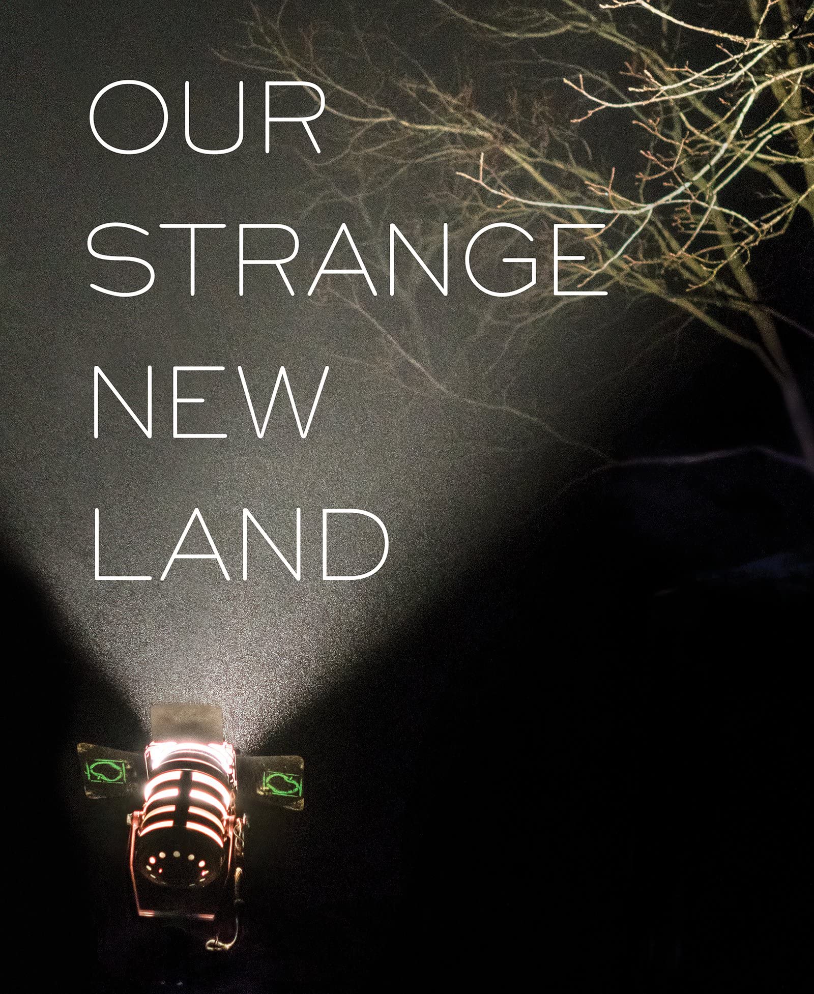 Our Strange New Land: Photographs from Narrative Movie Sets Across the South Travel