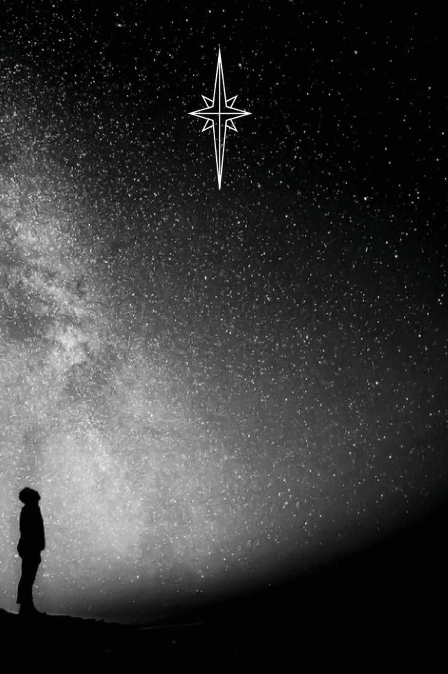 2019 NorthStar Notebooks - Life Guide: Vertical Series - 7x10, Hardcover, Stars (2019 Vertical) Essays & Short Stories