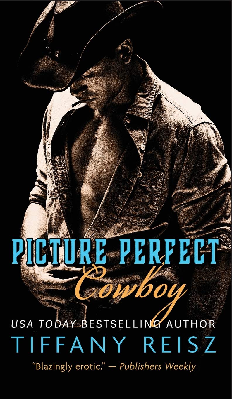 Picture Perfect Cowboy: A Western Romance book