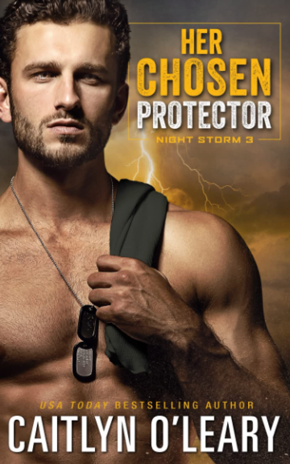 Her Chosen Protector: Navy SEAL Romance (Night Storm, Band 3) Romantic Thrillers