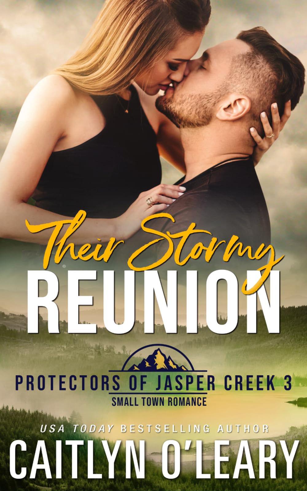 Their Stormy Reunion (Protectors of Jasper Creek, Band 3) Action & Adventure