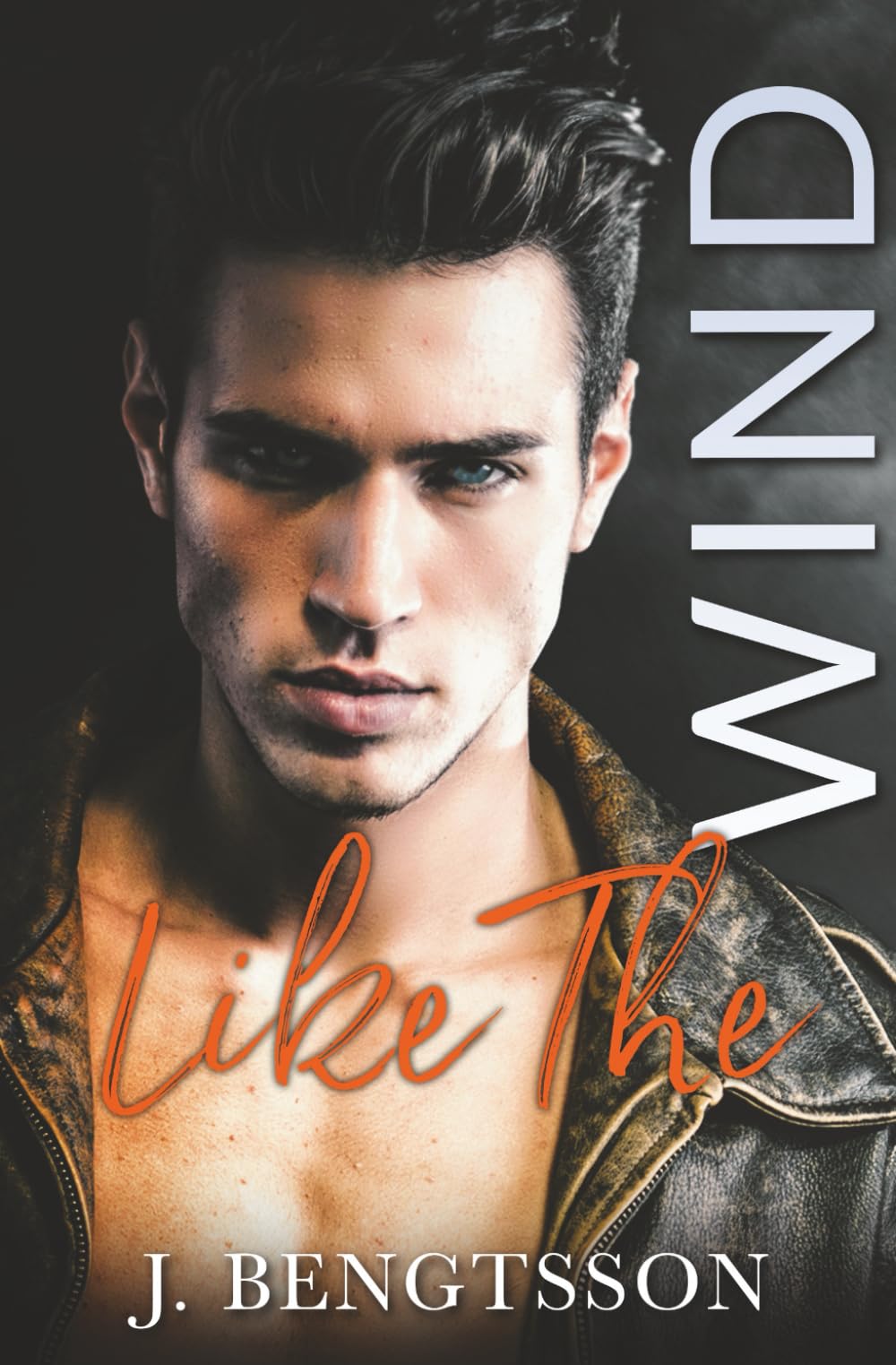 Like The Wind: A Fiery Rock Star Romance (Disaster Love Series, Band 1) New Adult