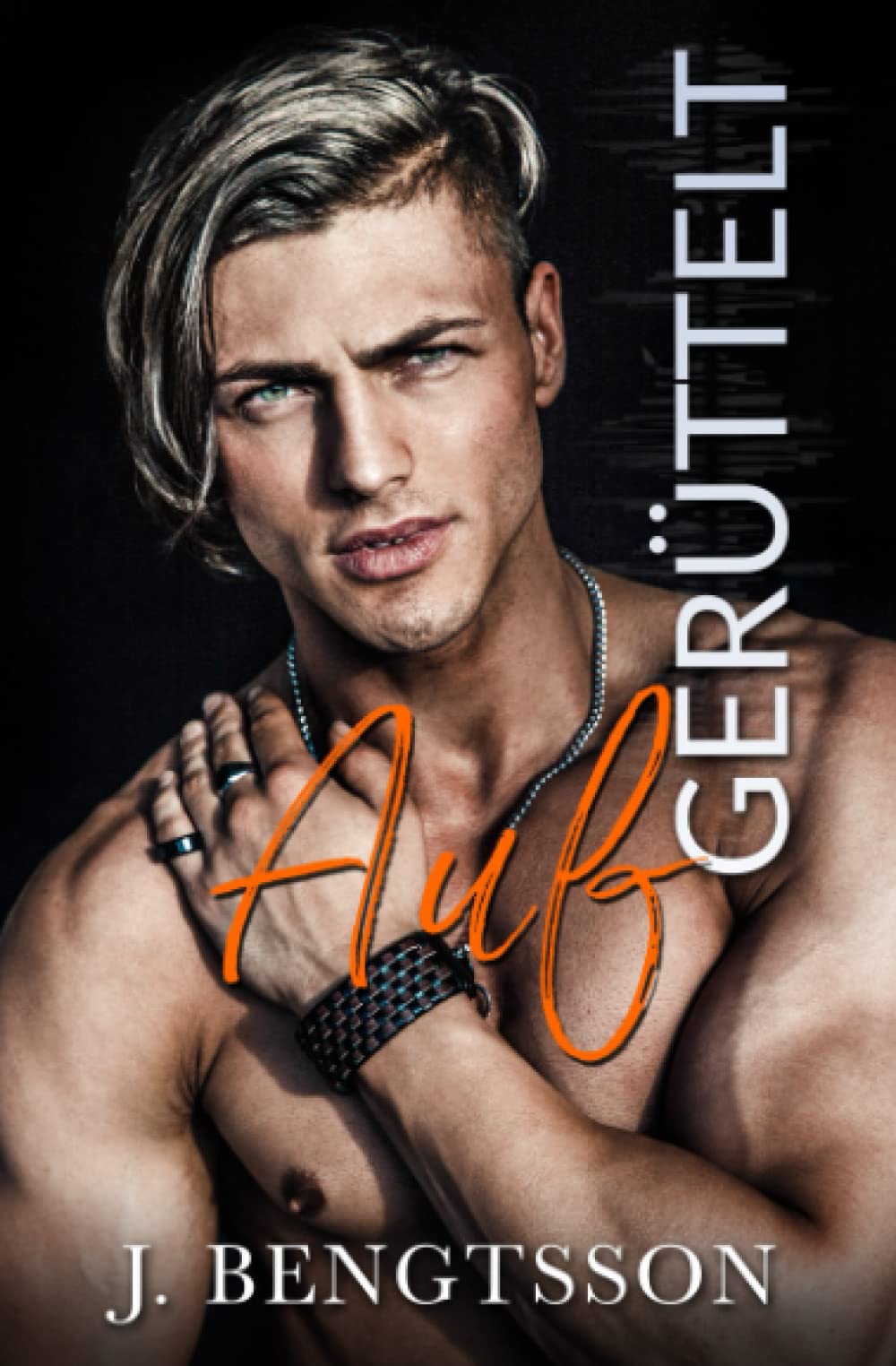 Aufgerüttelt (Die Disaster Love Serie, Band 2) New Adult