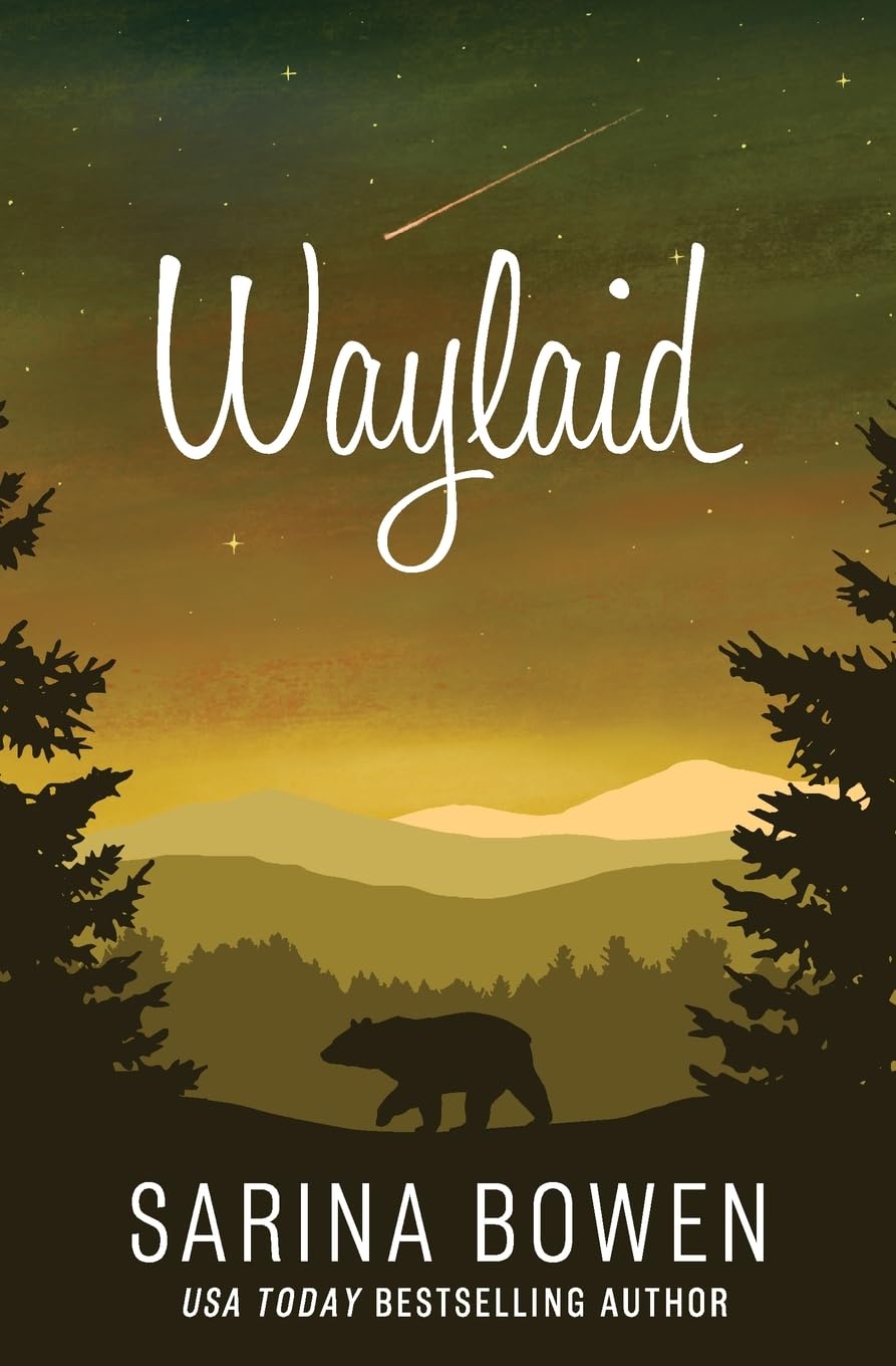 Waylaid (True North: Small Town Romance, Band 8) Contemporary literature