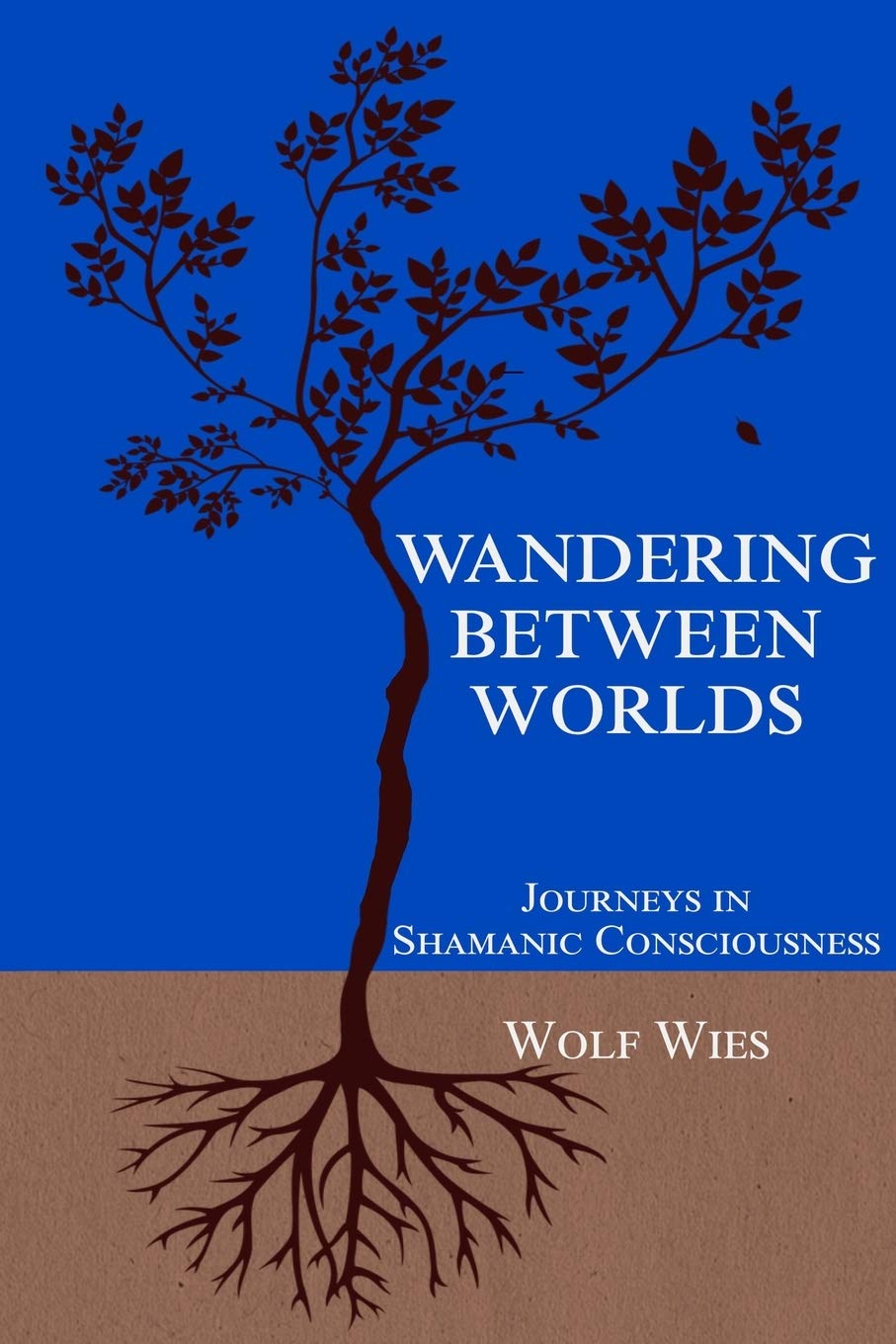 Wandering Between Worlds: Journeys in Shamanic Consciousness book
