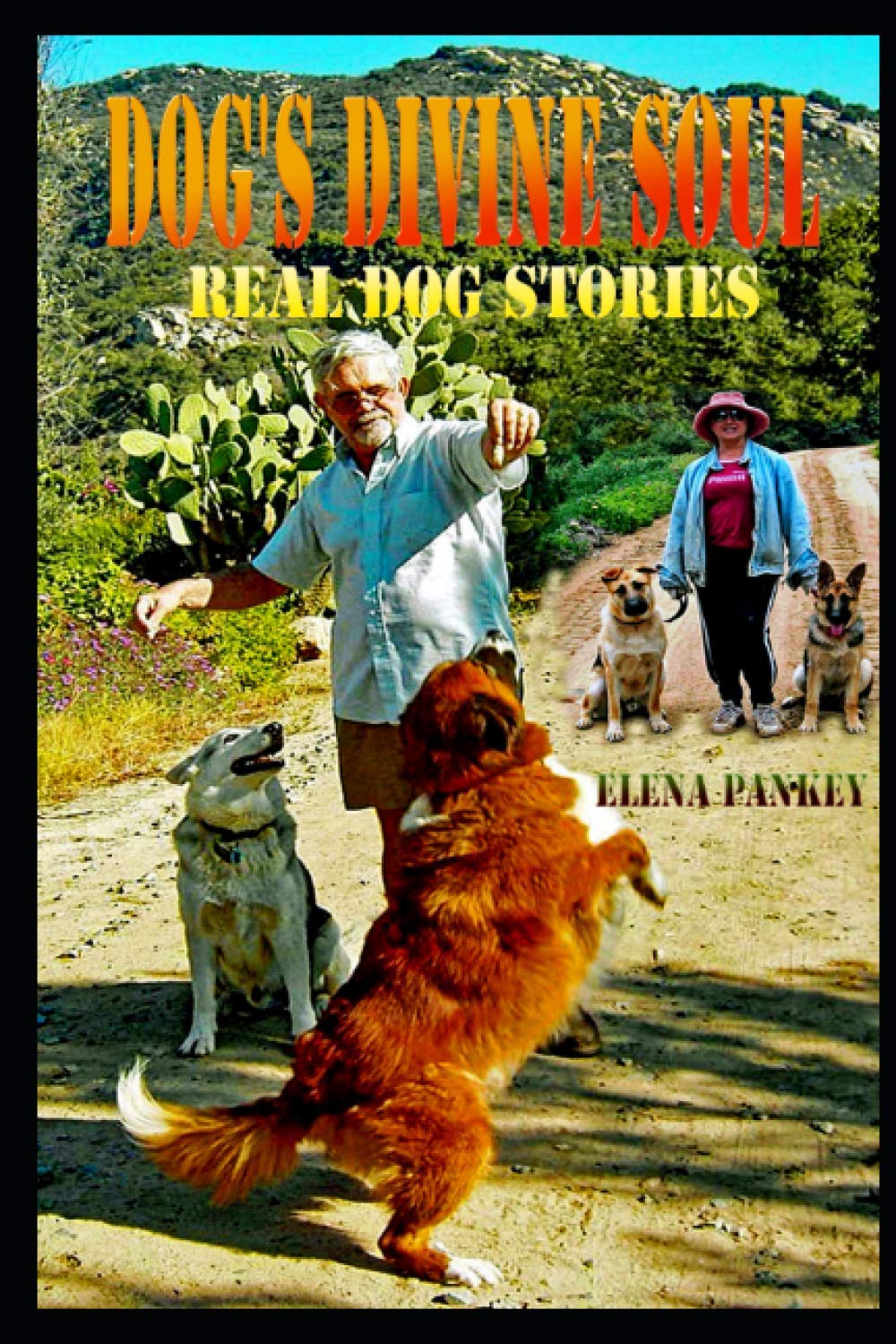 Dog's Divine Soul: The Real Dogs Stories Pets