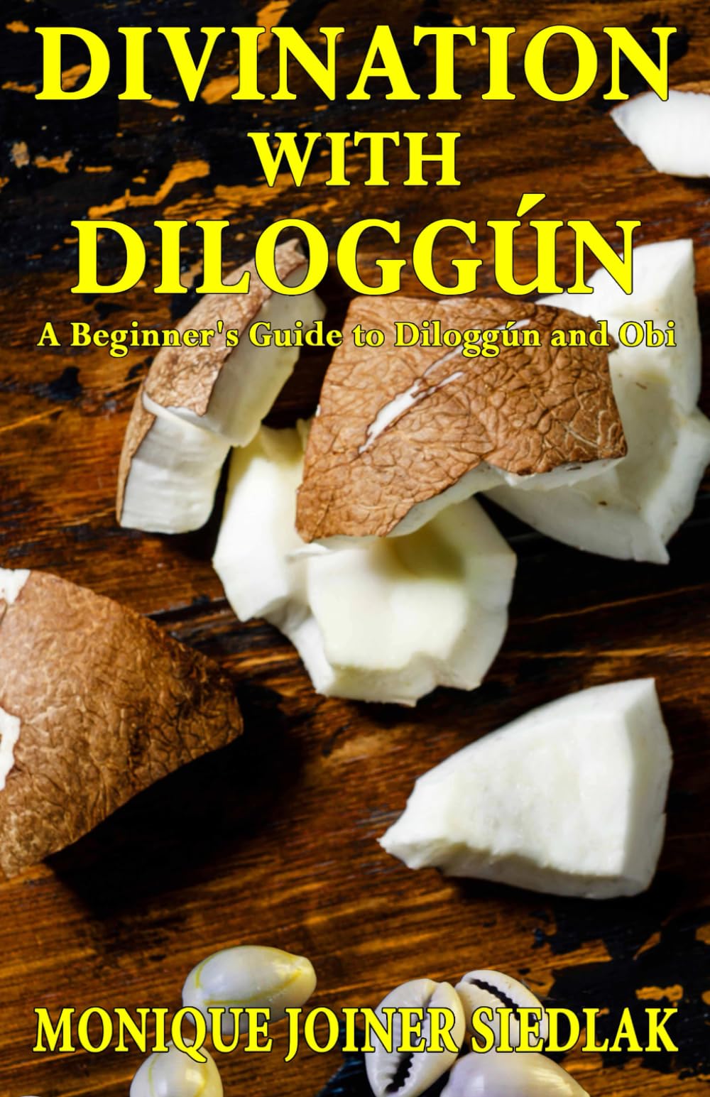 Divination with Diloggún: A Beginner's Guide to Diloggún and Obi (Divination Magic for Beginners, Band 2) Religion & Esotericism