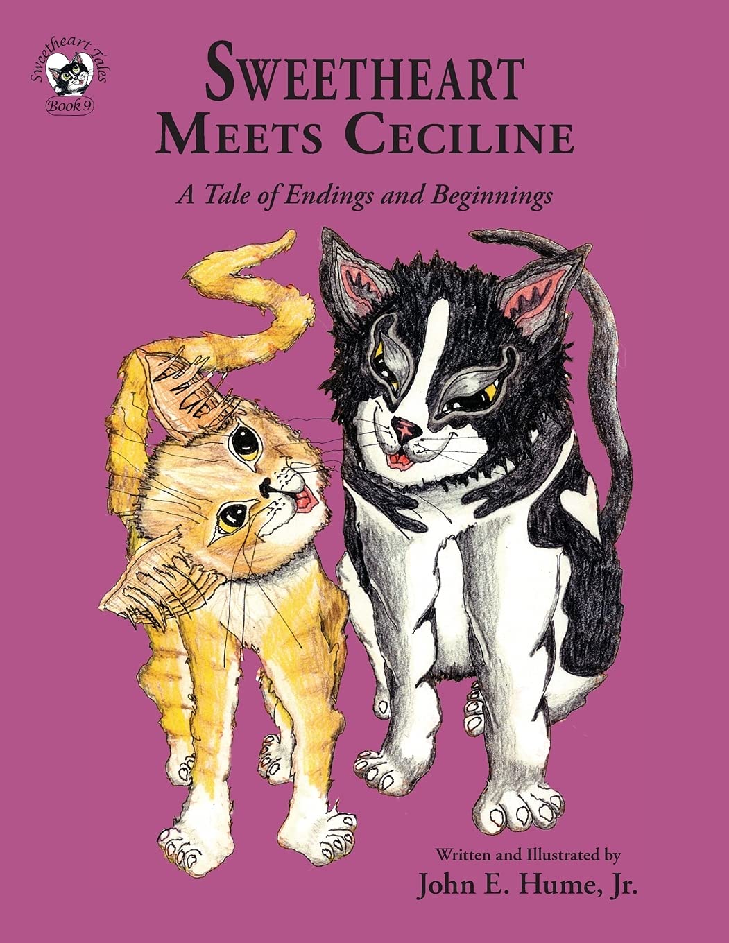Sweetheart Meets Ceciline: A Tale of Endings and Beginnings (Sweetheart Tales, Band 9) Non-fiction