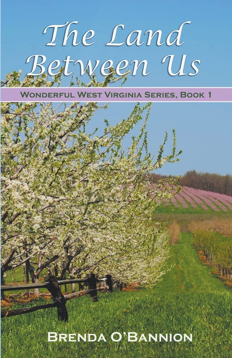 The Land Between Us (Wonderful West Virginia, Band 1) Contemporary literature