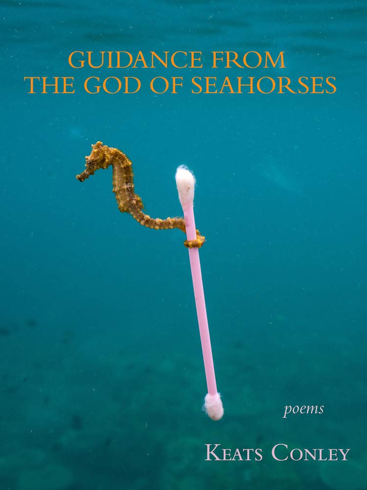 Guidance from the God of Seahorses Poetry