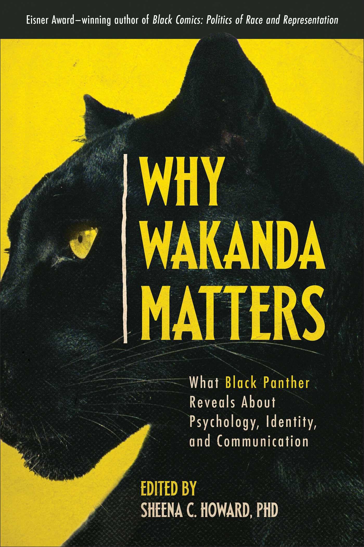 Why Wakanda Matters Film, Art & Culture