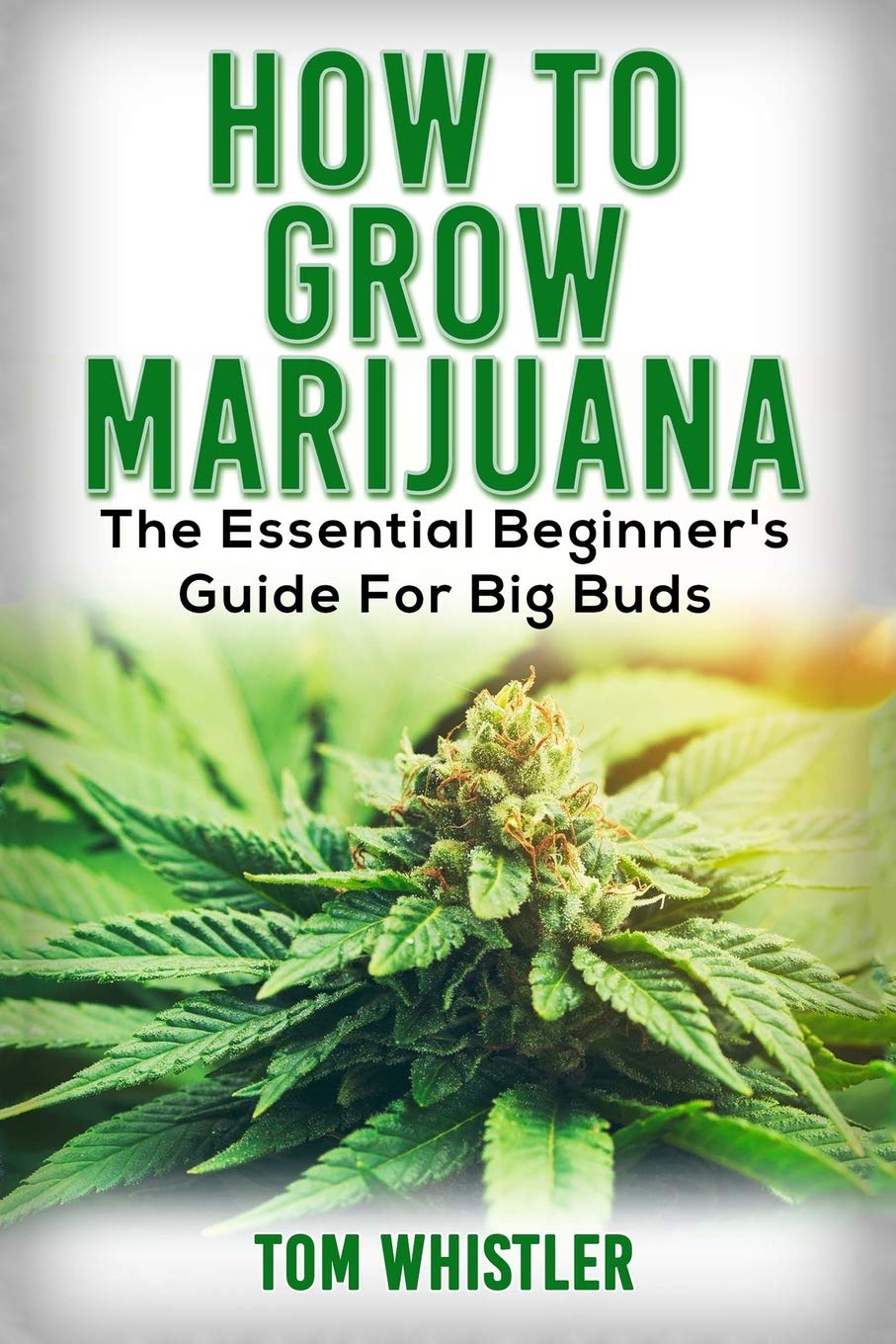 Marijuana: How to Grow Marijuana - The Essential Beginner's Guide For Big Buds Medicine