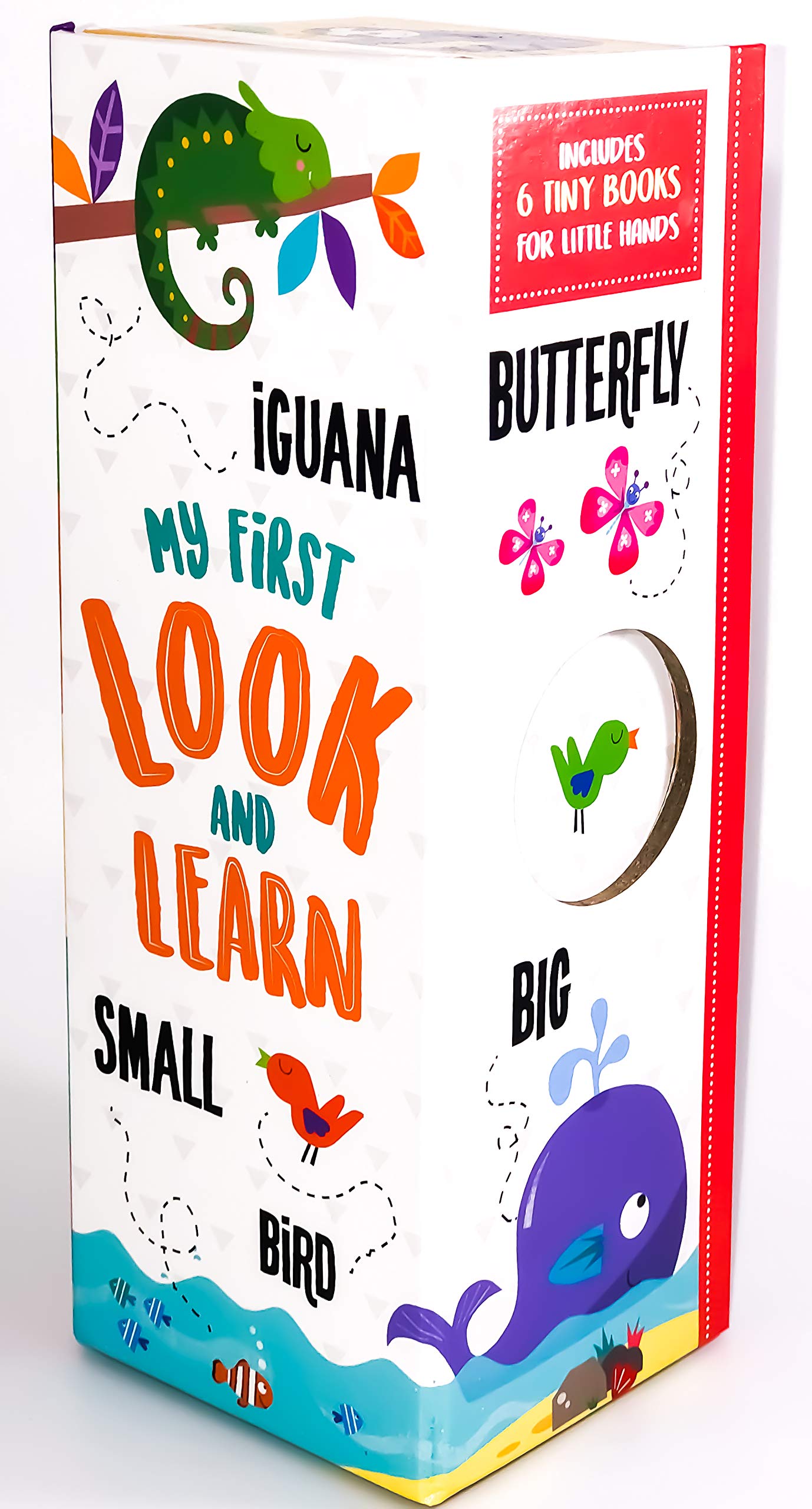 Page Publications Collection - My First Look and Learn 6 Book Tower - Early Learning for Children - Best Chunky Board Books - Perfect for Age 1 to 4 Books