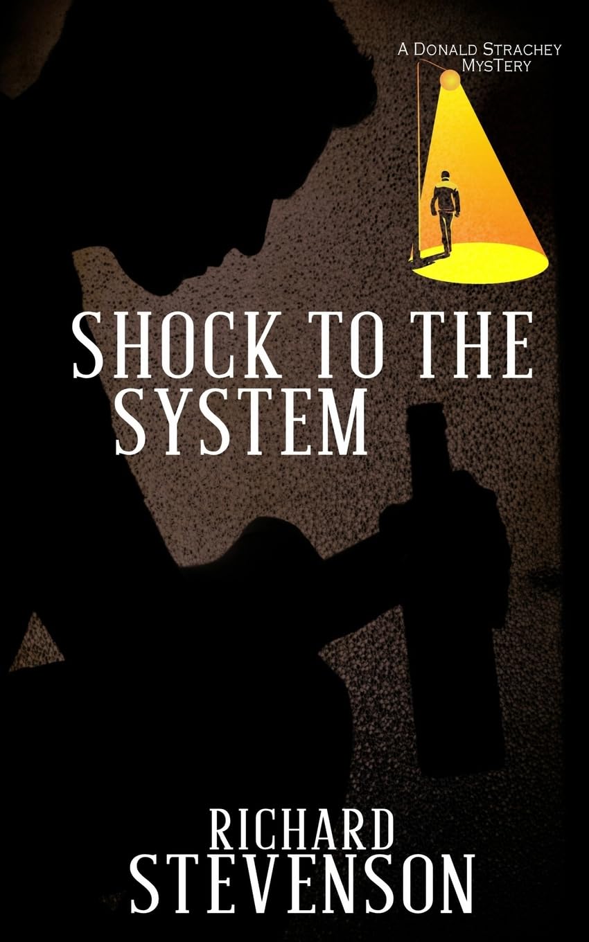 Shock to the System (A Donald Strachey Mystery, Band 5) LGBTQ+