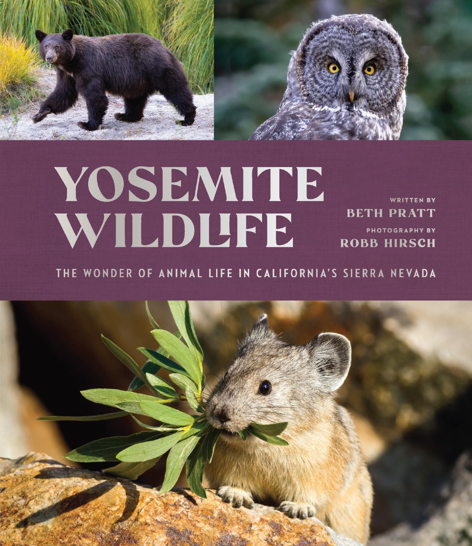 Yosemite Wildlife: The Wonder of Animal Life in California's Sierra Nevada Geology & Geography