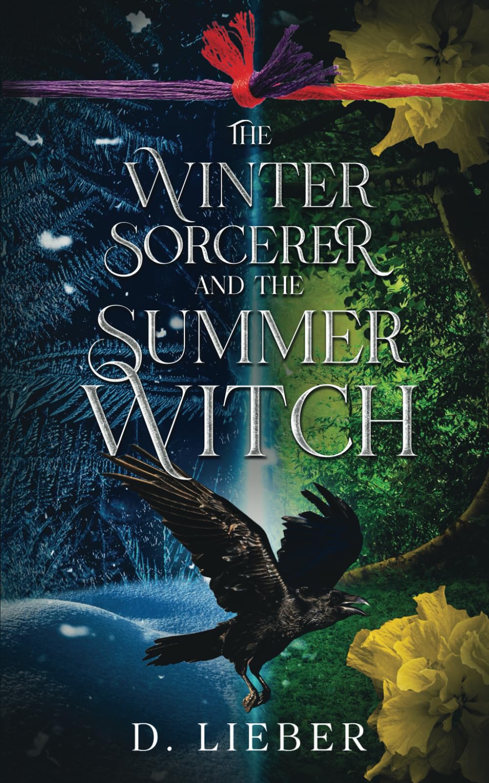 The Winter Sorcerer and the Summer Witch Romance