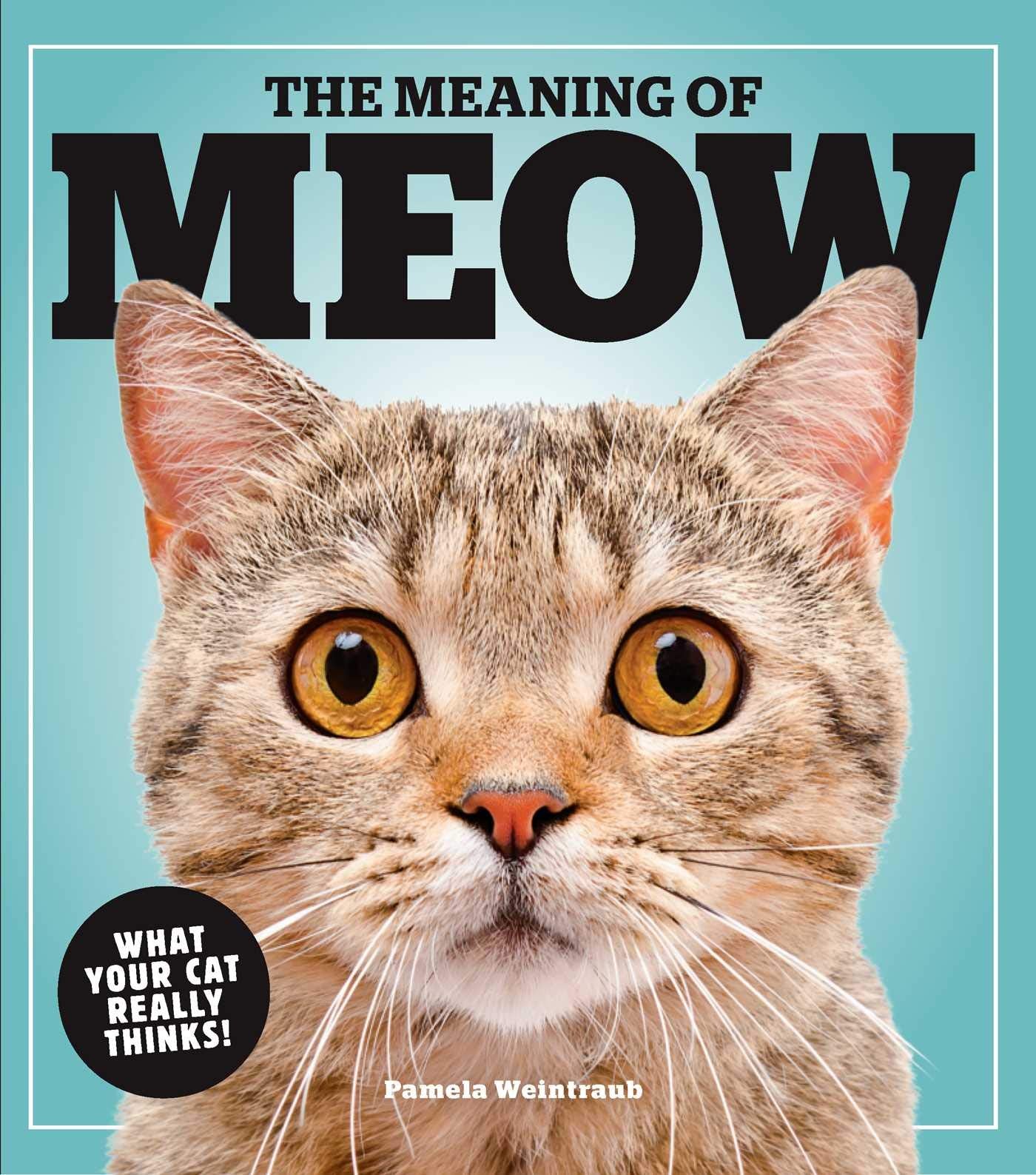 The Meaning of Meow: What Your Cat Really Thinks! Garden & Plants