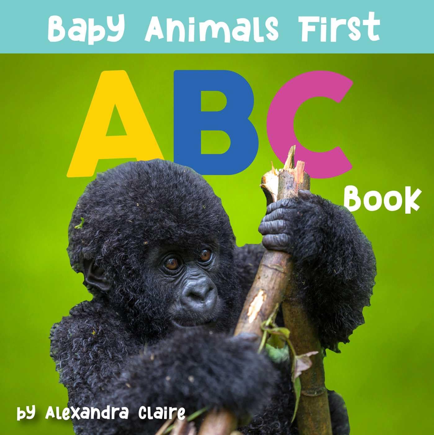 Baby Animals First ABC Book: Volume 2 (Baby Animals First Series) Parents & Children