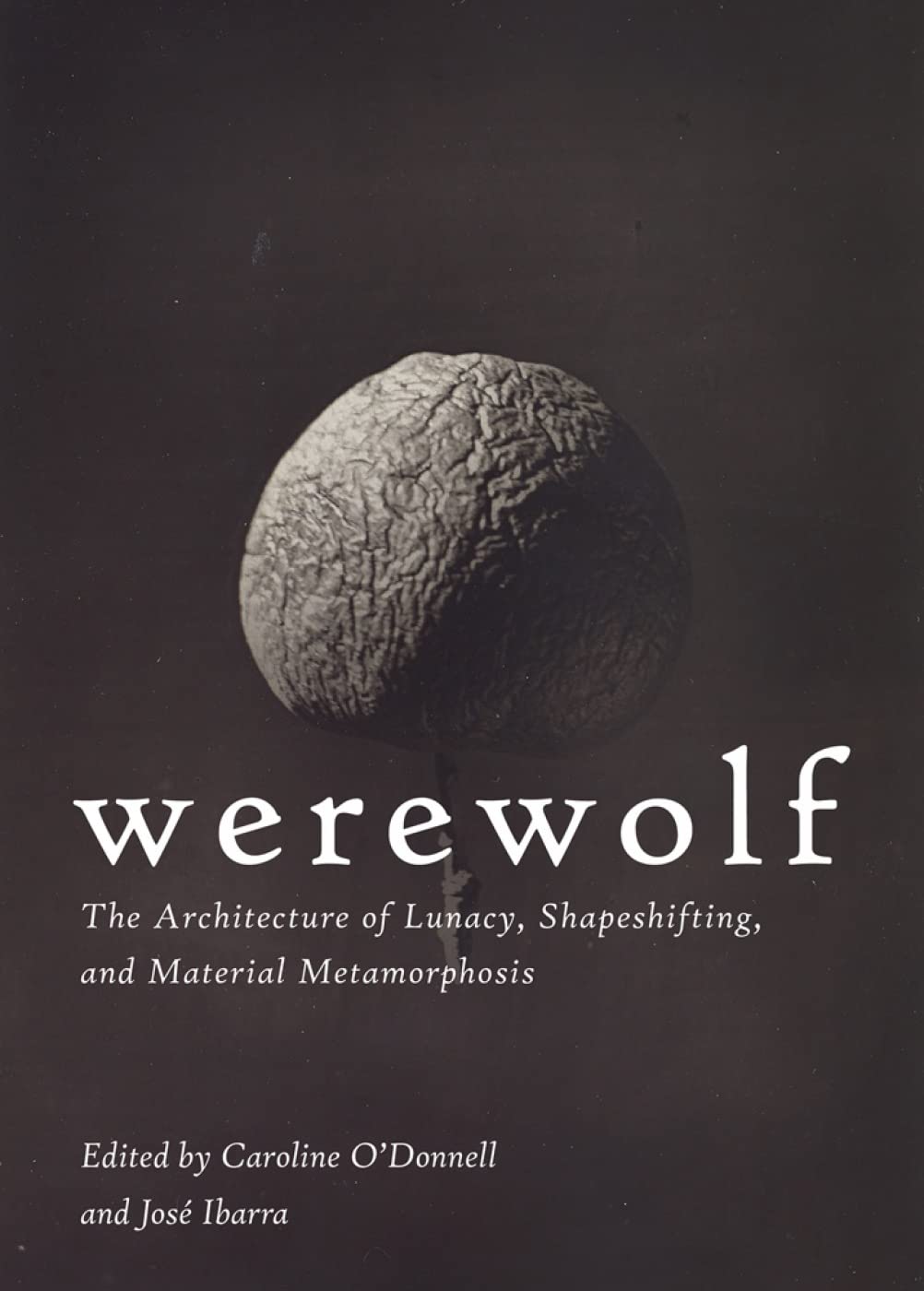 Werewolf: The Architecture of Lunacy, Shapeshifting, and Material Metamorphosis Architecture