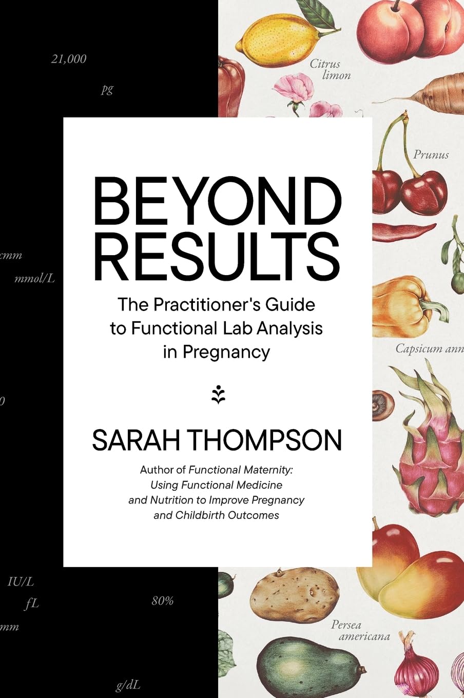 Beyond Results: The Practitioner's Guide to Functional Lab Analysis in Pregnancy: The Practioner's Guide to Functional Lab Analysis in Pregnancy Medicine