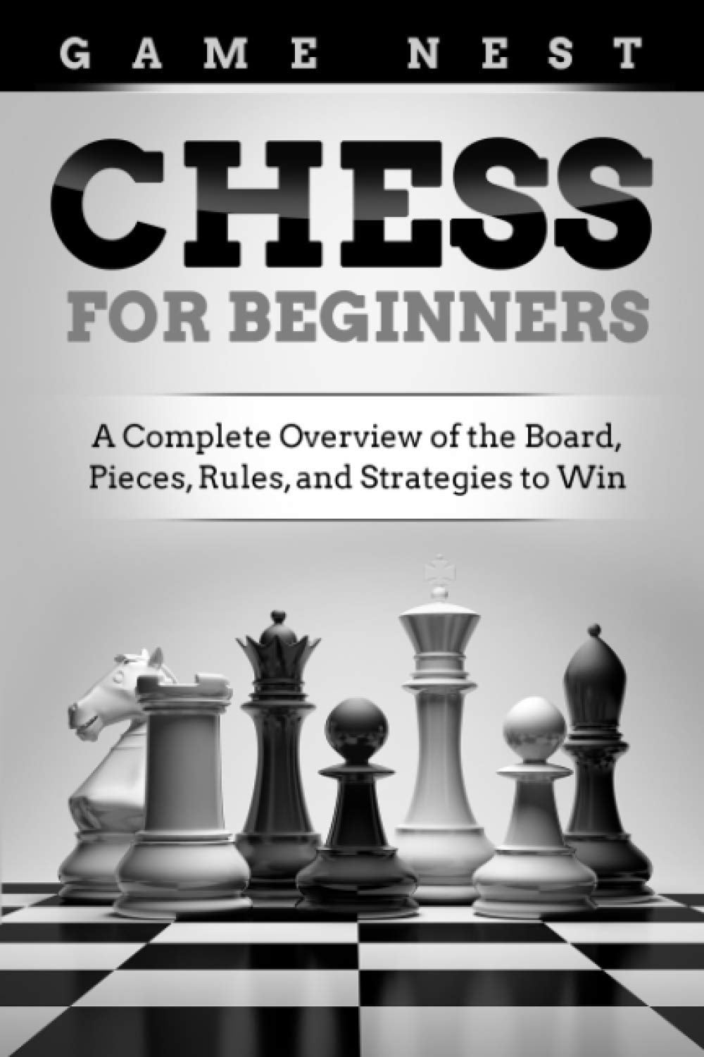 Chess for Beginners Leisure & Fun