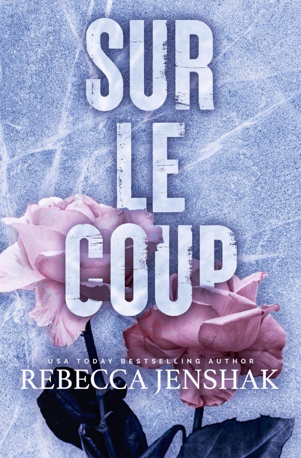 Sur le coup (Wildcat Hockey, Band 2) Contemporary Romance
