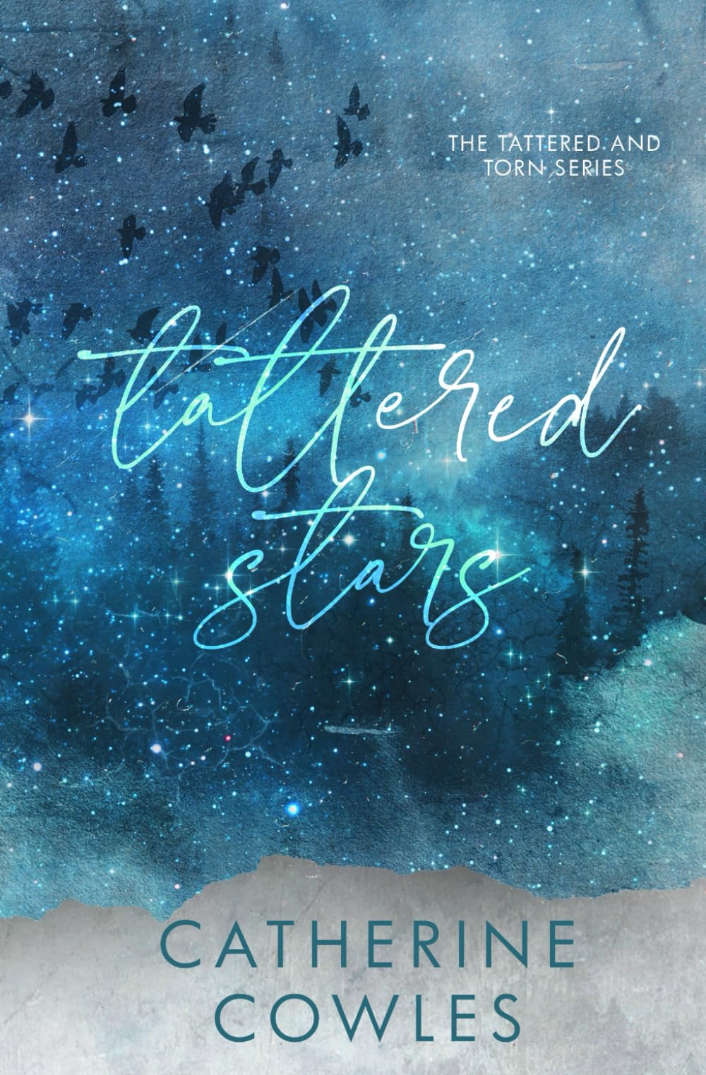 Tattered Stars: A Tattered & Torn Special Edition Contemporary literature