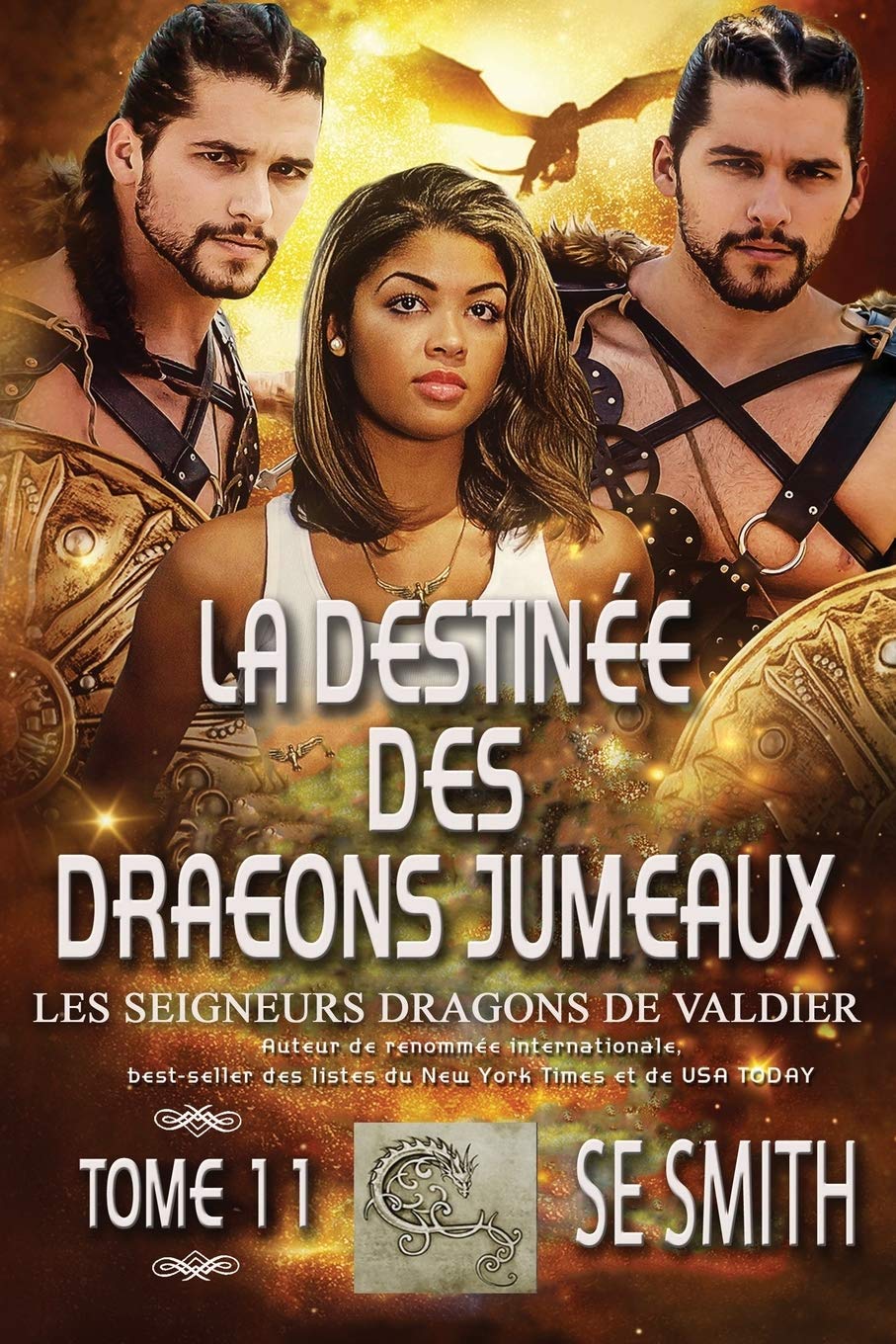 La destinée des dragons jumeaux (Les Seigneurs Dragons de Valdier, Band 11) Romantic Thrillers
