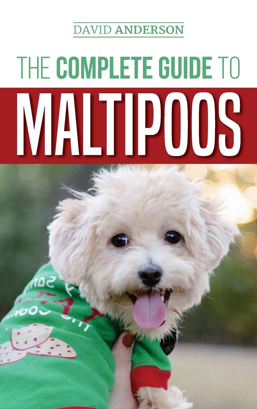 The Complete Guide to Maltipoos: Everything you need to know before getting your Maltipoo dog book