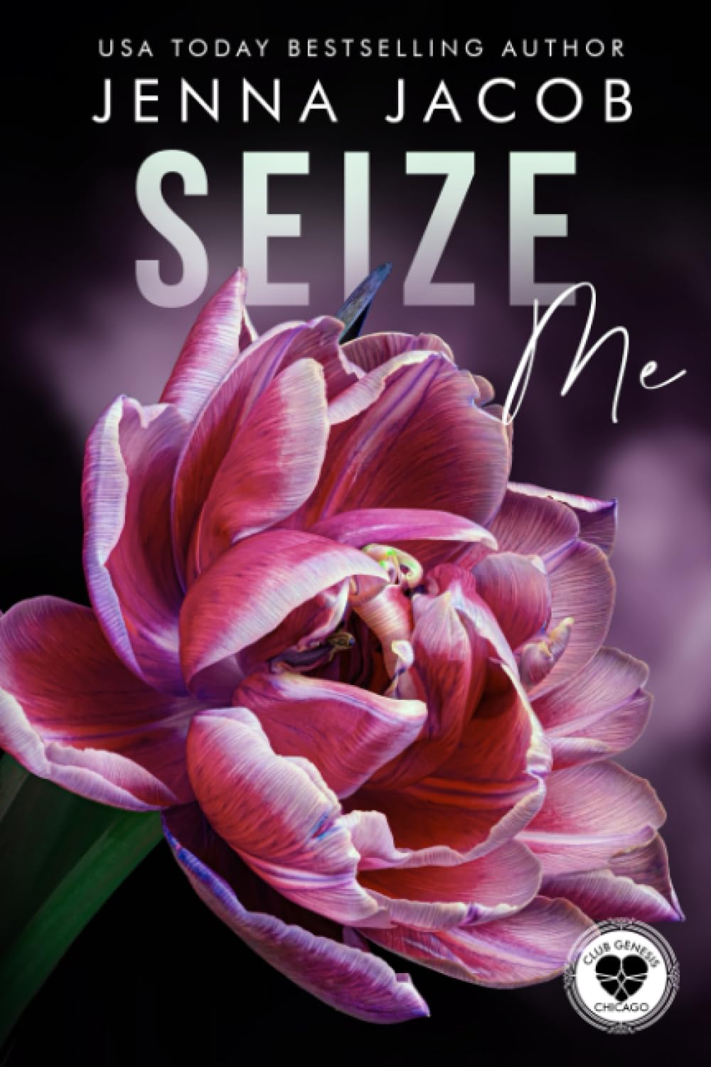 Seize Me: A Steamy Enemies To Lovers Emotional Dark Romance (Club Genesis - Chicago, Band 3) Romantic Thrillers