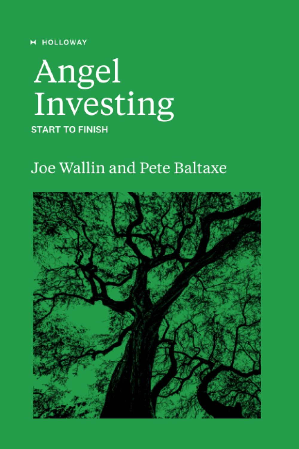 Angel Investing: Start to Finish Business, Finance & Career