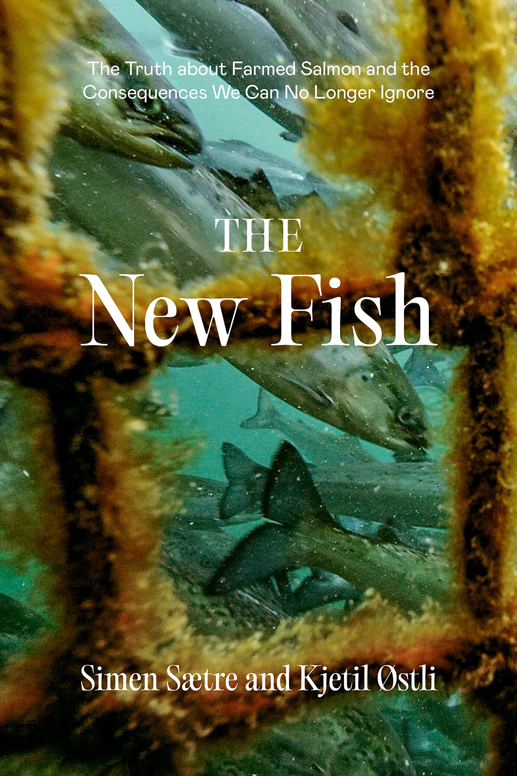The New Fish Business, Finance & Career Books